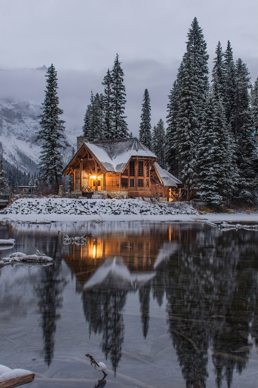 Minimalist wooden cabin in the forest